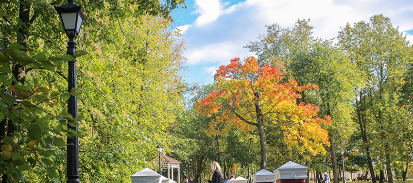 Фотофакт. Настоящая осень пришла в Минск - «Свежие новости строительства»