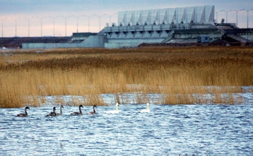 Городская дамба: благодаря ей Санкт-Петербург живет без наводнений - «Строим Дороги»