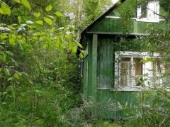 Могут ли изъять дачный участок, если он не осваивается - «Дайджест»