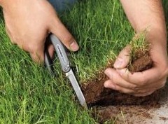 Могут ли забрать участок, если он не осваивается? - «Дайджест»