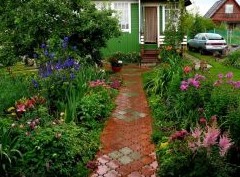 Мусор, охрана и новая дорога: во сколько обходится содержание дачи - «Дайджест»