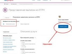 На портале госуслуг стали доступны выписки ЕГРН - «Дайджест»