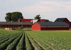 На сельхозземлях разрешат строить усадьбы - «Дайджест»