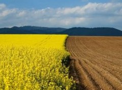 На Украине с 1 июля провели 2 тысячи сделок по продаже земли - «Зарубежная недвижимость»