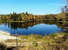 Названы лучшие по экологии районы Подмосковья для покупки жилья - «Новости регионов»