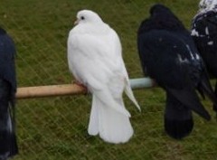 Не клеится: 10 шагов к улучшению отношений на работе - «Бизнес»