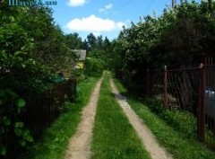 Особенности садовых некоммерческих товариществ: плюсы и минусы - «Дайджест»