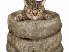 Продажа с подвохом: почему не стоит гнаться за дешевизной - «Риэлторские технологии»