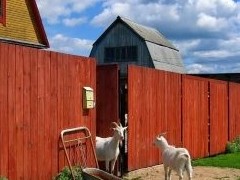 Росреестр предложил уточнить в ЕГРН сведения о виде использования земли - «Дайджест»