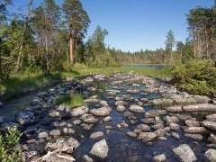 Россияне бросились занимать очередь за участками в Арктике - «Новости регионов»