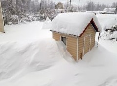 С кого взыскать долг по взносам в СНТ, если владелец участка скончался, а наследник неизвестен - «Дайджест»