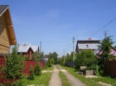 Садоводства могут признать сельскими территориями - «Дайджест»