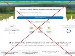 Тень, знай свое место: Росреестр и ФАС ужесточают борьбу с сайтами-двойниками - «Дайджест»