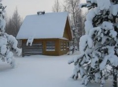 Тест на безопасность - «Дайджест»
