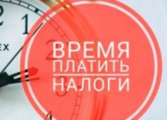 Успеть заплатить. «Инструкция по налогам» - «Дайджест»