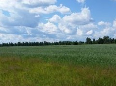 В России могут снова появиться помещики - «Дайджест»