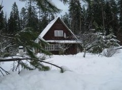 Вступившие в силу и важные изменения в законах касающиеся дачников в 2021 году - «Дайджест»