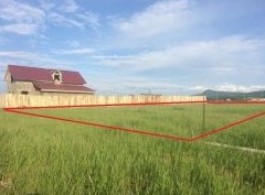 За год спрос на покупку земельных участков в РФ вырос на 16% - «Аналитика рынка»