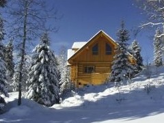 За год спрос на земельные участки под частные дома вырос в России на 37% - «Аналитика рынка»