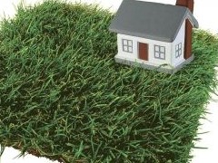 Земля за городом. Чем отличаются СНТ, ДНП, ИЖС и ЛПХ - «Дайджест»