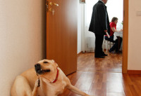 Как не стать жертвой мошенников при продаже квартиры: под угрозой артисты - «Недвижимость»