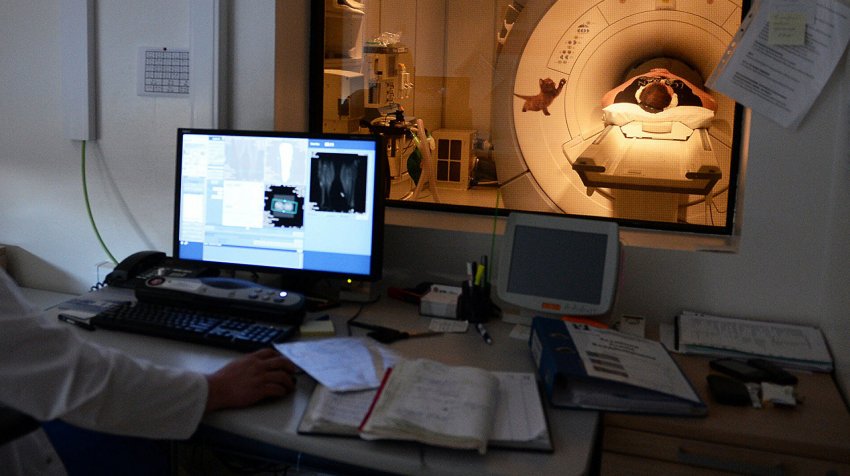 Упор на лечение онкологии: к процессу привлекут зарубежных врачей - «Свежие новости строительства»