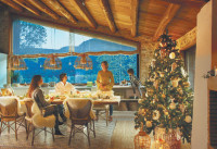 Найдены самые дешевые варианты аренды в Подмосковье на Новый год - «Недвижимость»