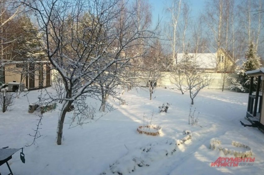 Дача за три дня. В России ускорят оформление прав на земельные участки - «Недвижимость»