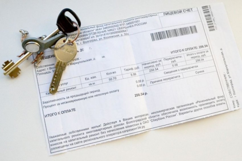 В АКОН рассказали, как управляющие компании справляются с дефицитом бумаги - «Недвижимость»