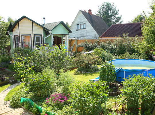 Снять хорошую дачу недорого: названы главные хитрости при аренде - «Недвижимость»