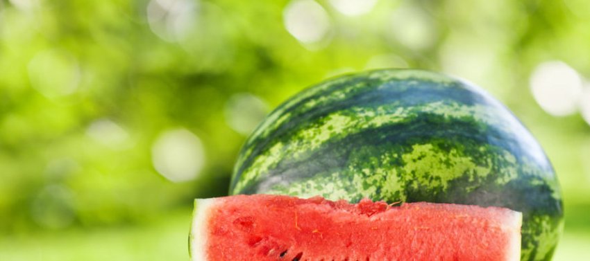 ГУРМАН. Готовим салат с креветками, дыней, арбузом и руколой - «Свежие новости строительства»