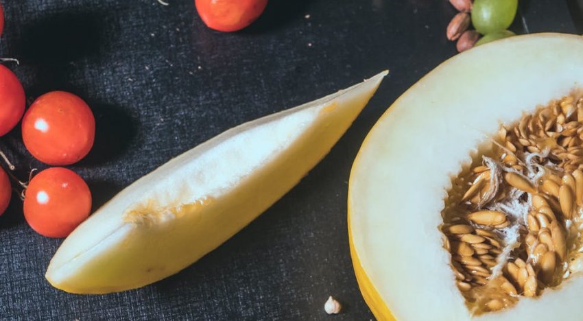 ГУРМАН. Готовим суп и салат из дыни - «Свежие новости строительства»