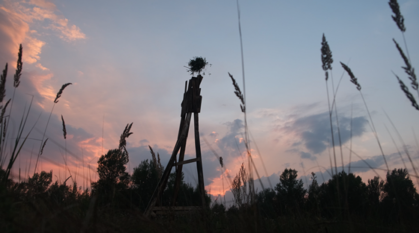 Художник Даниил Пирогов использует для своих арт-объектов арматуру и строительный бетон - «Строим Город»