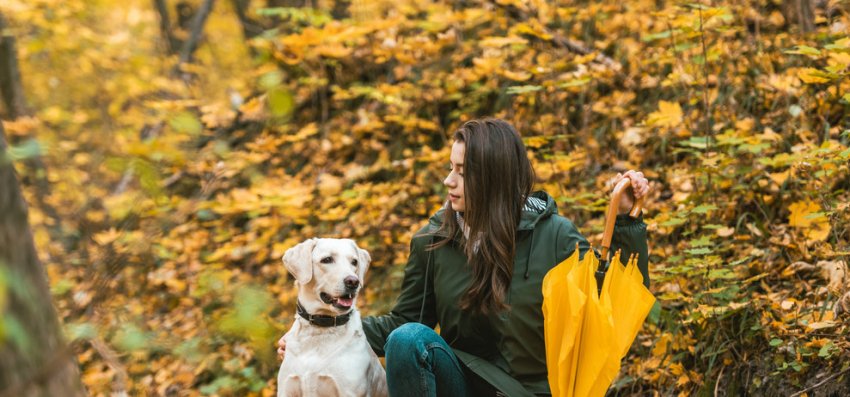 Отсутствие стресса, зарядка и питание. Как повысить иммунитет осенью - «Свежие новости строительства»
