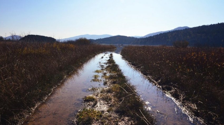 Защищаем дороги от воды. Дорожный материал, который не боится высокой влажности - «Строим Дороги»