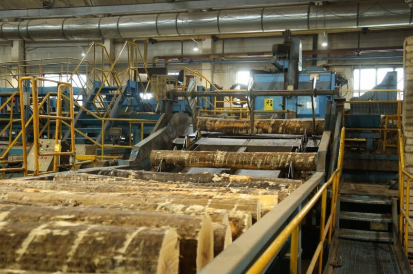 Ветеранам боевых действий из Костромской области бесплатно выдадут древесину - «Недвижимость»