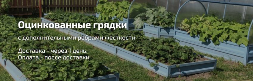 Металлические грядки из оцинкованного профиля