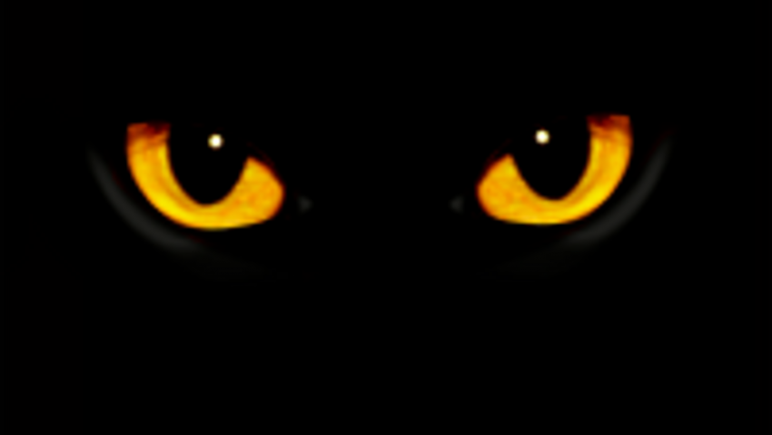 Загадочная жизнь мхов. Что нового узнали ученые? - «Строительство»