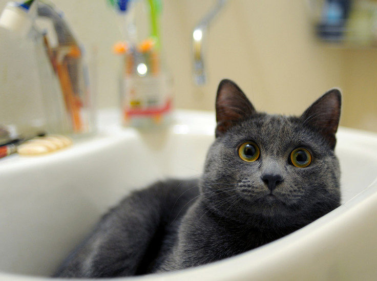 Коммунальщики в испуге: штрафы за грязную воду и отключение света повысили в 10 раз - «Недвижимость»