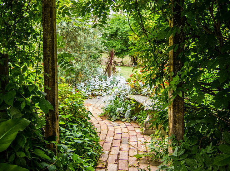 Названы самые популярные у владельцев загородных домов деревья - «Недвижимость»