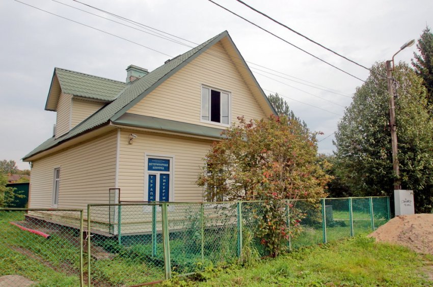 Деревенский дом ветлечебницы в Павловске заменят новым - «Свежие новости строительства»