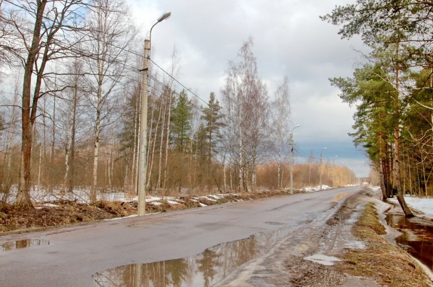 На Авиационной улице в Сестрорецке сдали первую очередь жилого микрорайона - «Свежие новости строительства»